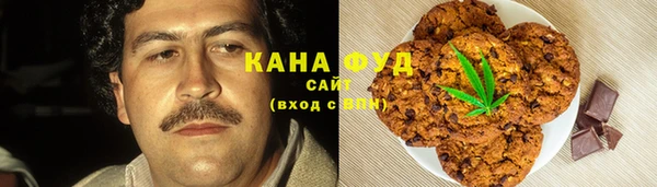 Альфа ПВП Няндома