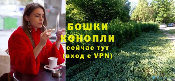 Альфа ПВП Няндома