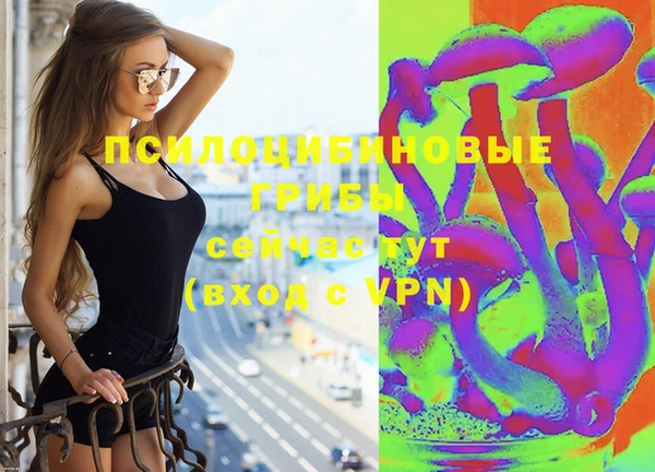 крисы Нязепетровск