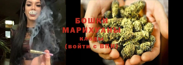 гашик Осинники