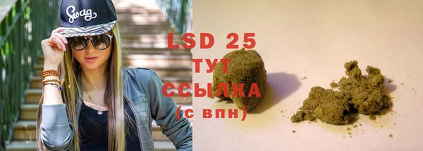 гашик Осинники