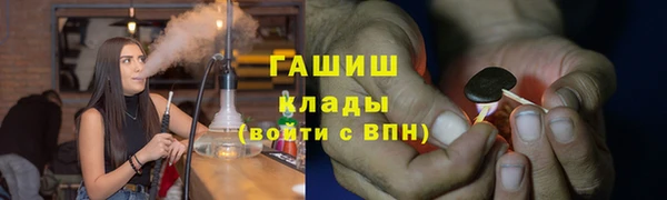 гашик Осинники